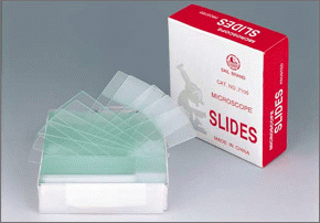 microscope slides and cover glass